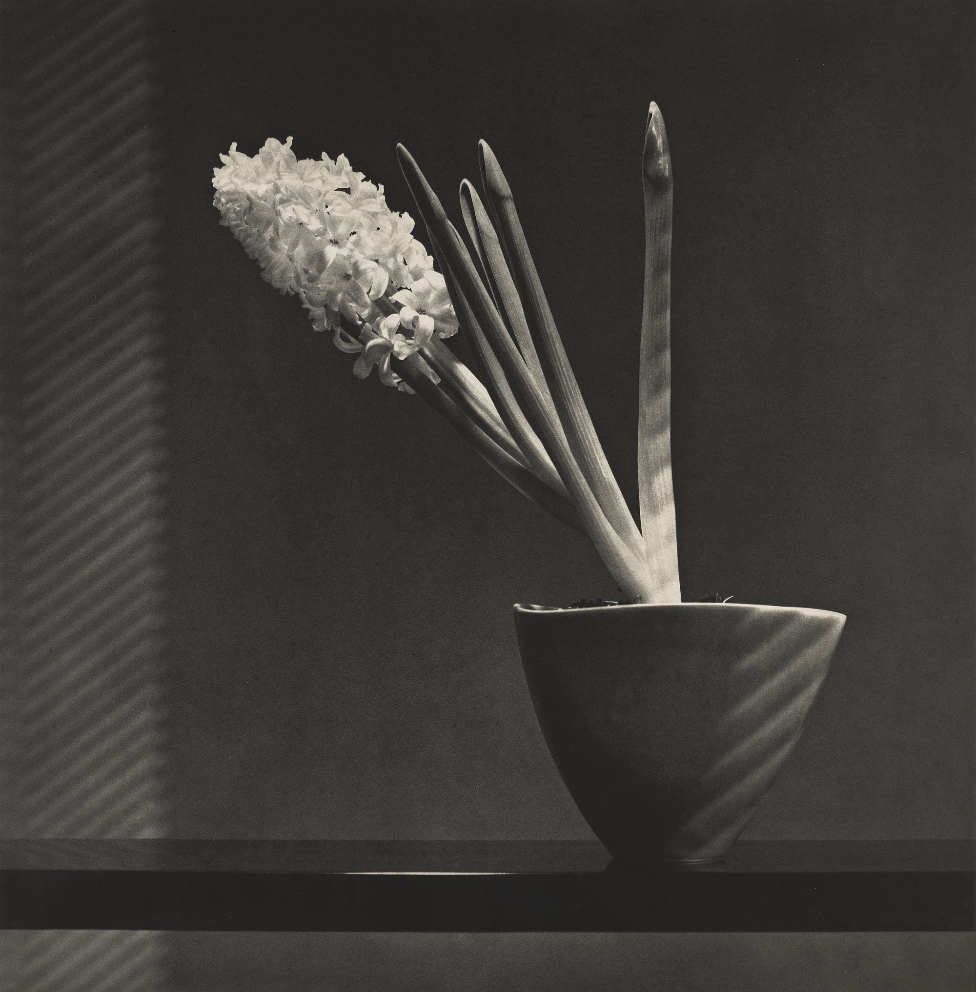 Robert Mapplethorpe Hyacinth Phillips Photographs Auction October 2026