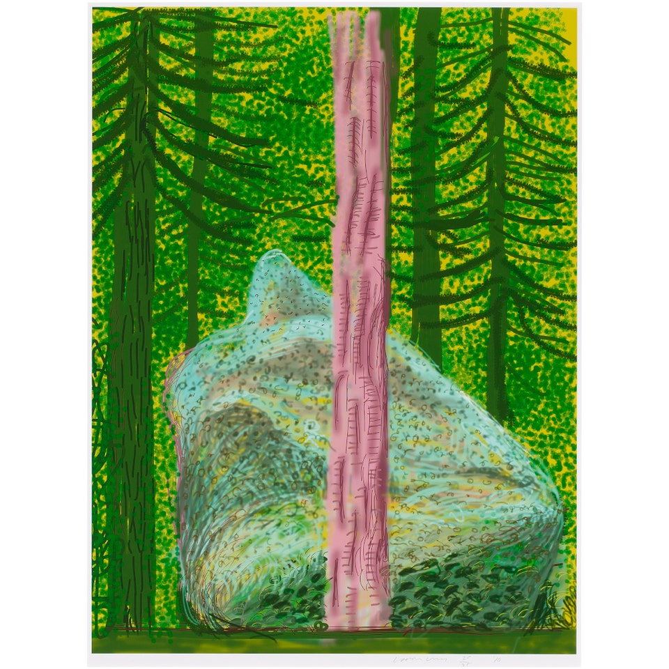 David Hockney Untitled No. 19, from The Yosemite Suite