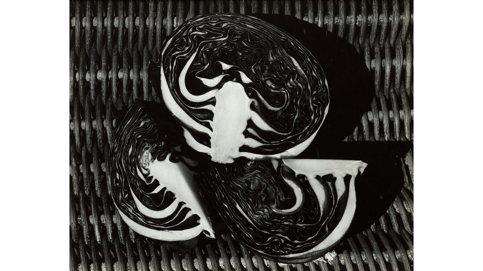 Edward Weston Purple Cabbage, 1/2 and 2/4s, 1936. Phillips Photographs Auction New York October 2026