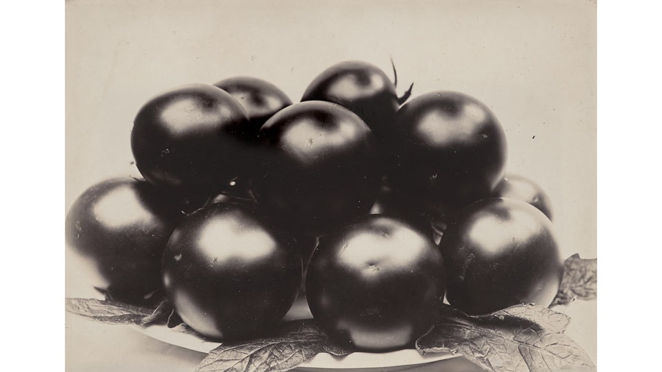 CHARLES JONES, Tomato Perfection, 1900. Exposure: Photographs Online Auction.