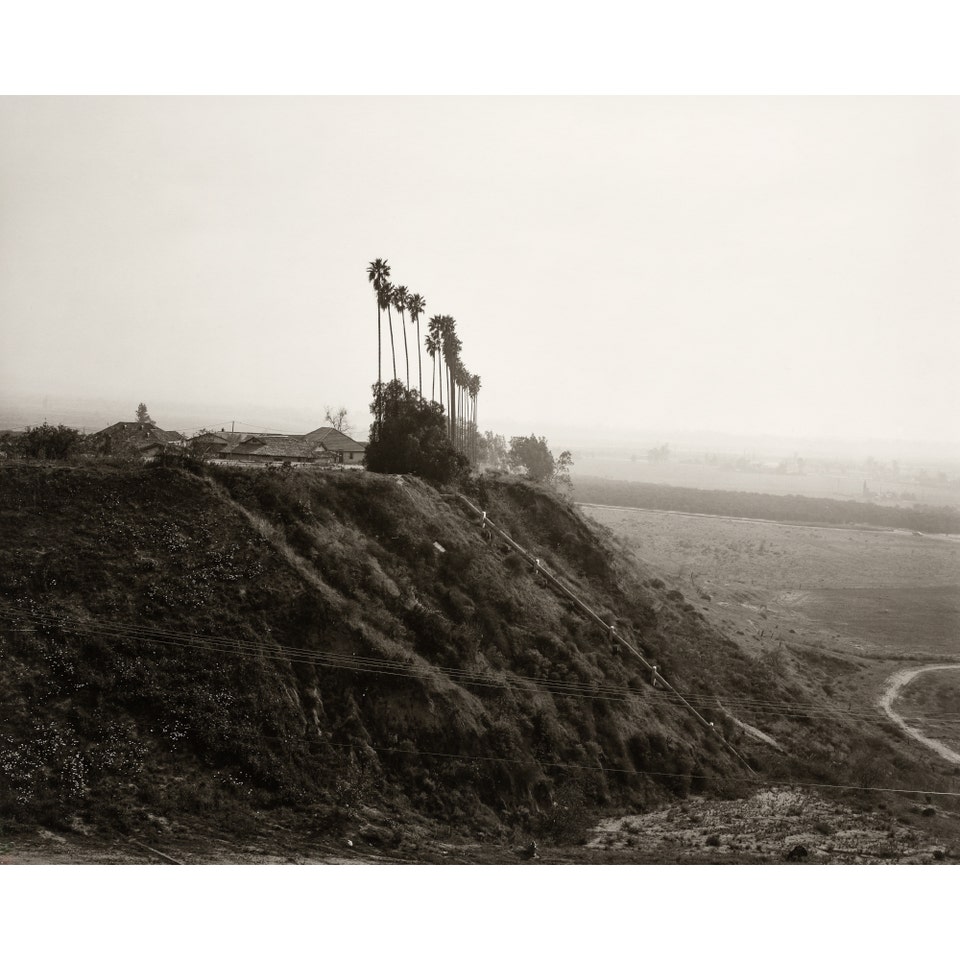 Robert Adams New homes on the former site of a citrus growing estate, East Highlands, California. Photographs Auction New York October 2026