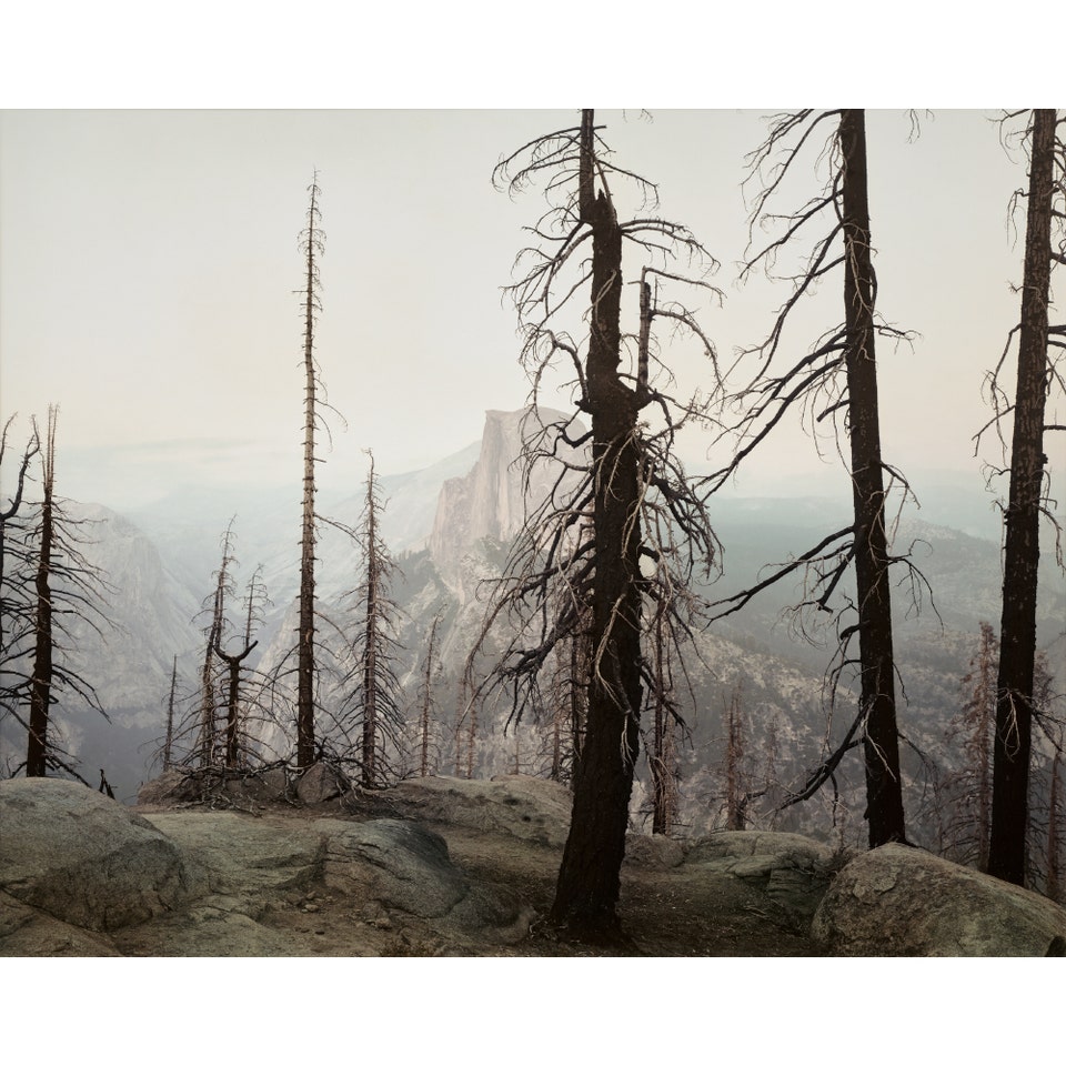 Richard Misrach Yosemite. Phillips Photographs Auction New York October 2026