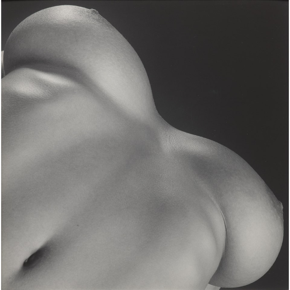 Robert Mapplethorpe Lisa Marie / Breasts. Photographs Auction New York October 2026